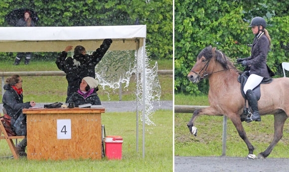 T2: Jolly und Bjalli trotzen Plischplatsch auf Ellenbach