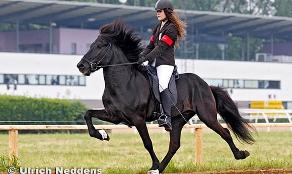 Equitana Open Air: Zingsheim-Tandem unschlagbar