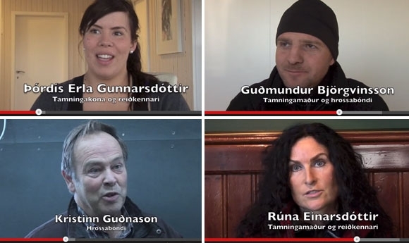 Experten-Interviews: Bester Rennpass/Trab aller Zeiten
