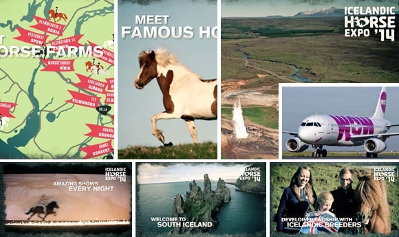 Noch bis DO ‘Horse Expo’ buchen, gratis mit WOW fliegen