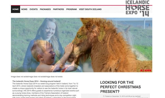 Icelandic Horse Expo 2014: ein tolles Weihnachtsgeschenk