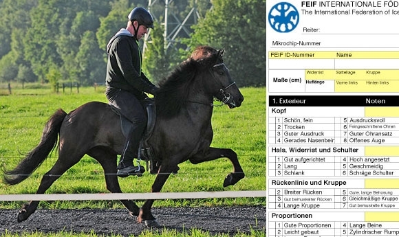 FIZO Brock: Hrammur & Blanda mit erfolgreichem Finish