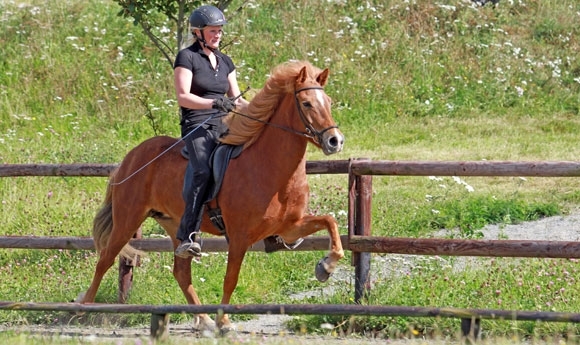 FIZO Kronshof: Video-Highlights von RE-Durchgang 2