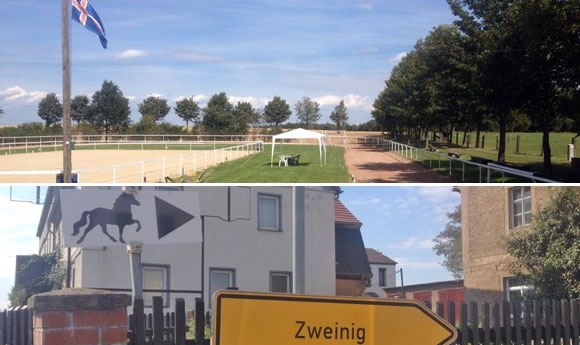 Sonnige 2014er Fohlen in Zweinig: Elite für Heft & Malies