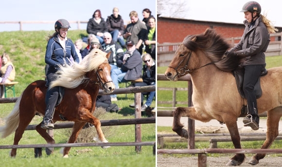 FIZO Kronshof: Videonachlese & Fotoalbum aus Ellringen