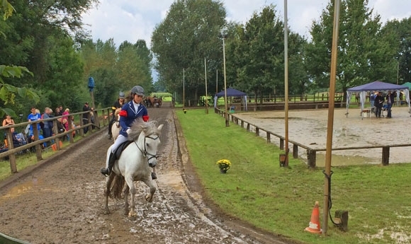 G’dyck: ‘Á’ Futurity-Gold, Ketels/Käuper Top-Mehrgänger