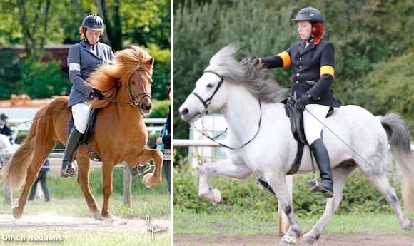 ISIHAMMER: Katja Geiter auch 2013 wieder mit an Bord