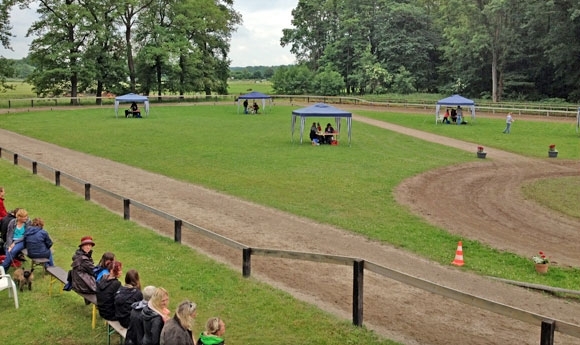 Godemoor: Prima Start mit starker Futurity plus Viergang