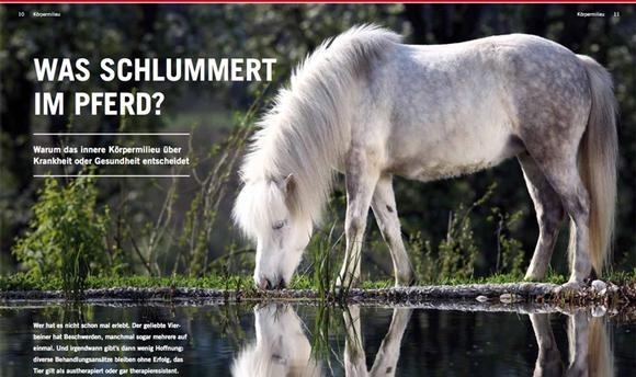 Inneres Körpermilieu weist den Weg: krank vs. gesund