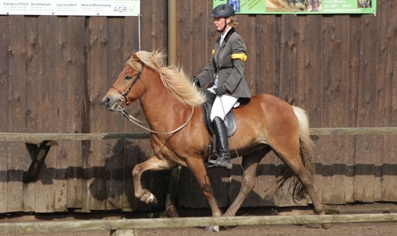 Grenzdyck: Niermann gewinnt Mehrgang, frische Updates