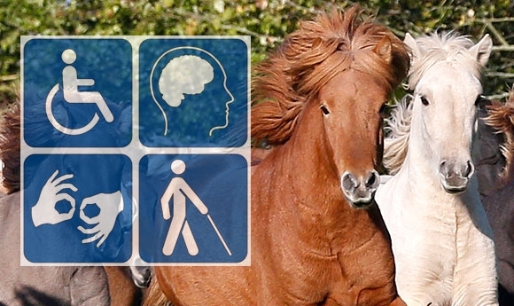 Reiten mit Handicap: Ideen für bessere Integration gefragt