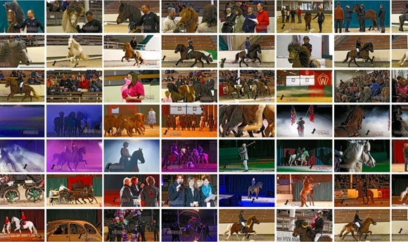 Handorf: Zauberhafter Show-Abend im Neddens-Album