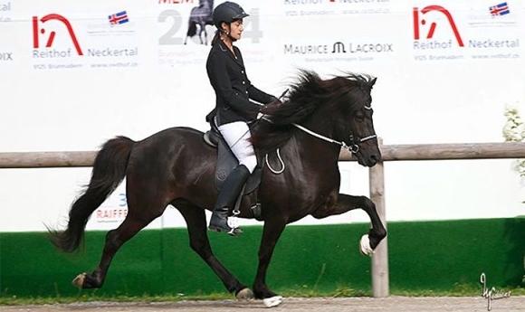 Harmonious Riding: Cristina Daniele toppt FEIF-Ranking