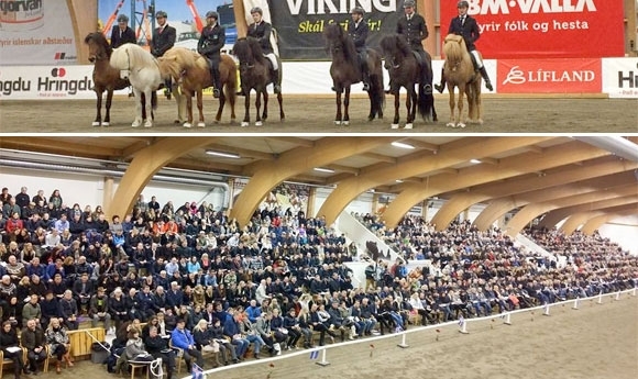 Live und ungeschnitten: ‘Stóðhestaveisla’ Süd und Nord