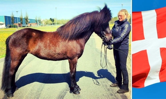 FIZO-Auftakt in Herning: Sif zickt, Klaki brilliert, Thor führt