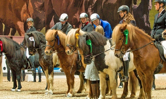 Hippologica: Actionreiche Video-Nachlese plus Fotoalbum