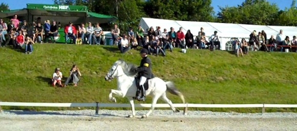 Lingener DIM 2010 so spannend wie lange nicht mehr