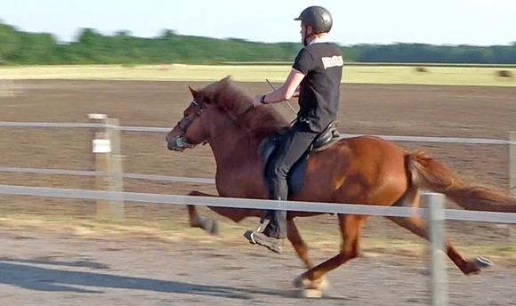 W’berg: Hólmgeir packt PP1, 2 Titel für Hestabakki