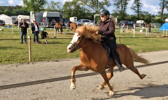 E’bach: Svenja/Hugo zu PP1-Gold, Top-Tölt von Oehmichen