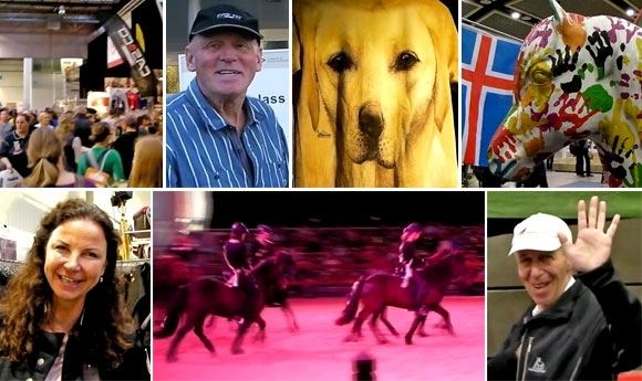 ‘Hund & Pferd’ in DO: IPZV gibt launige Visitenkarte ab