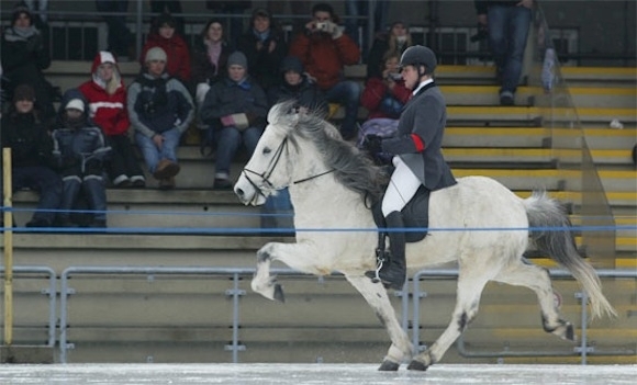 icehorse: Karly packt eisige T1 mit 0,06 vor Frauke