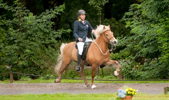 NL-Meisterschaft: Yoni und Irma auf Goldkurs in T1 und T2
