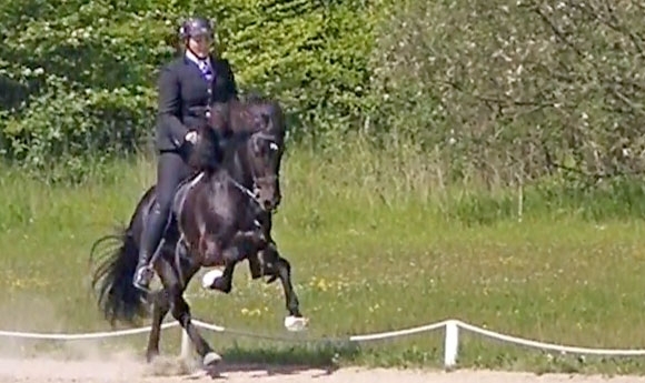 ISICUP DK: Isabelle & Viktor glänzen, PP1 an CC Langvad