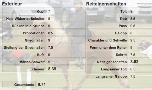 Selfoss: Jarl (8,92 RE) & Kompás (8,56 Ext.) geben Ton an
