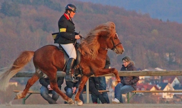 Ellenbach live: Stymmi und Jolly toppen sonnige F2 & V2