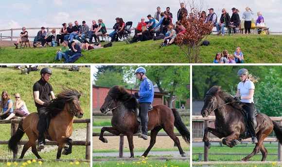 Kronshof: FIZO-Video/-Fotoalbum, Leikari Körungssieger