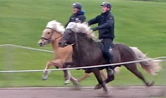 ISICUP Kjarni: Racing-Gold an Thomas und Toppur