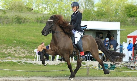 ISICUP Kjarni: T1-Krone für Risvang und Poulsen