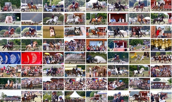 Kronshof-Nachlese: Video-Action und Neddens-Fotoalbum