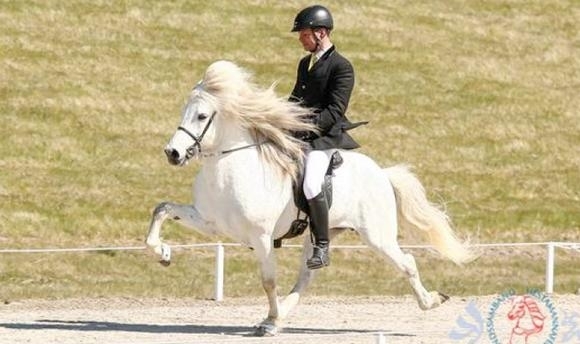 Six schon fix: IS-Equipe für Herning nimmt Formen an