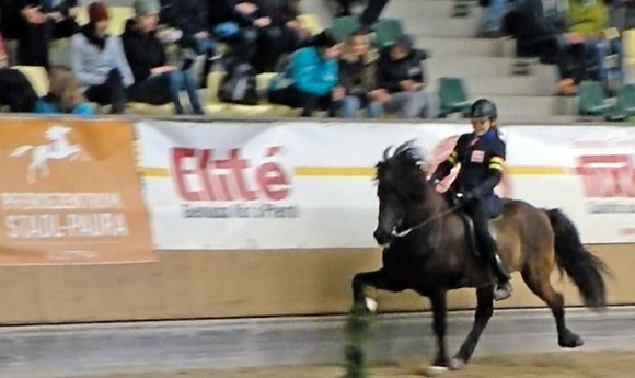 Stadl-Paura live: Irene führt T3 an, Lux packt ‘Tölt & Drive’