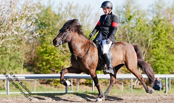 Lingen: Nicolai und Lucie geben zügellos den Ton an