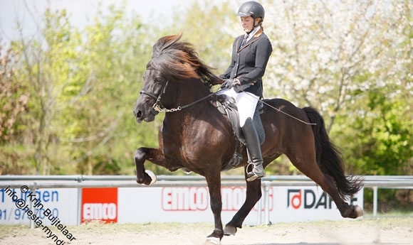 Lingen: Lena und Lucie toppen V1 / Emsland-Updates