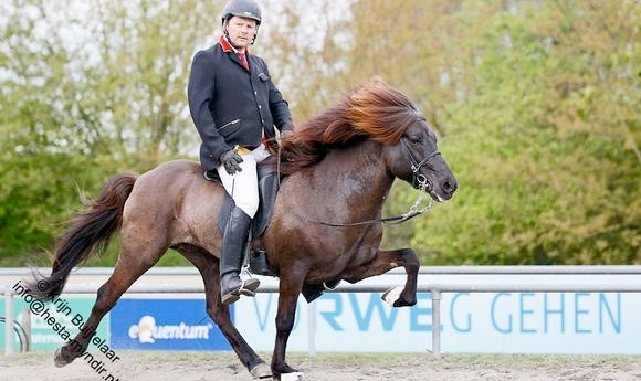 Lingen: Emsland-Triumphe für Stymmi und Helmut