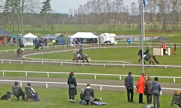 ISICUP live: P1-/T1-Gold für Stenblom, Stenbeck, Rørvang