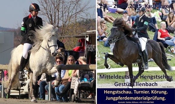 Ellenbach: Mitteldt. Hengstschau lockt mit Sport & Zucht