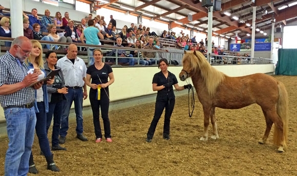 Handorf live: Snilld vom Frettertal gewinnt Stuten-Ranking