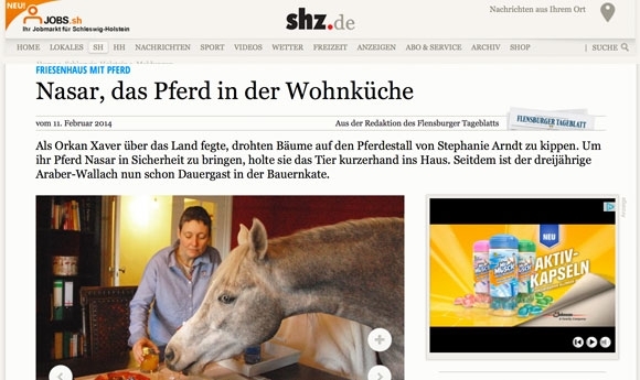 Da steht ein Pferd auf’m Flur – Nasar mag’s gemütlich