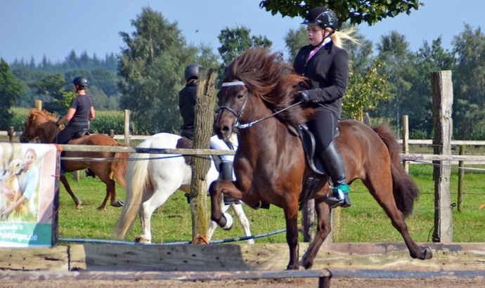 Norderheide: Eifler, Kraft, Demantur, Kopar strahlen