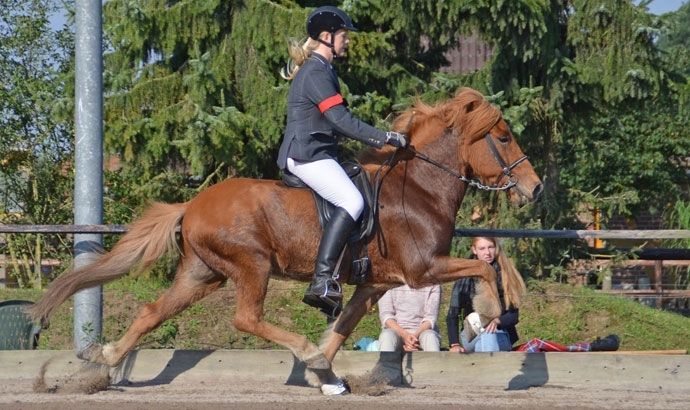 N’heide: Morbach, Kraft, Schneider, Rogge, Repp top