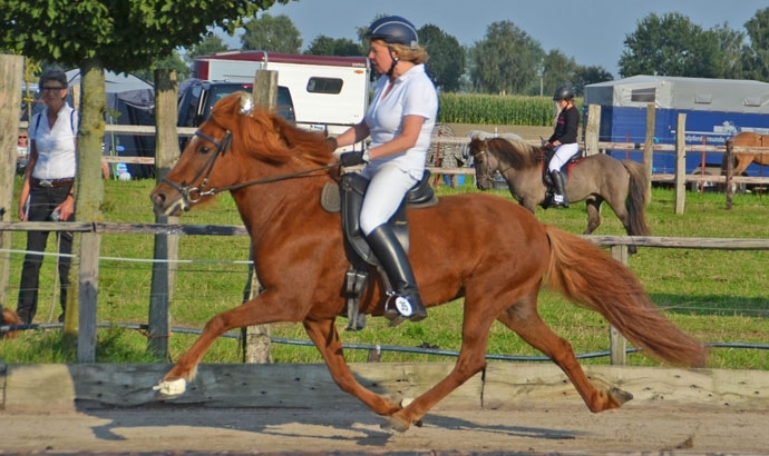 N’heide: Vorhang, Bünning gewinnen PP1/Olympiade
