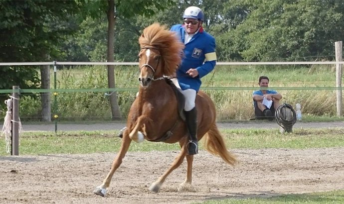 Schleuener Hof: Spannende ‘OMI 2015’ in Kremmen