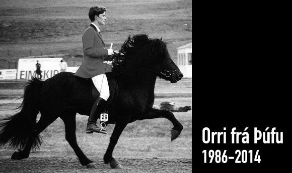Abschied von einer Legende: Orri mit 28 Jahren gestorben