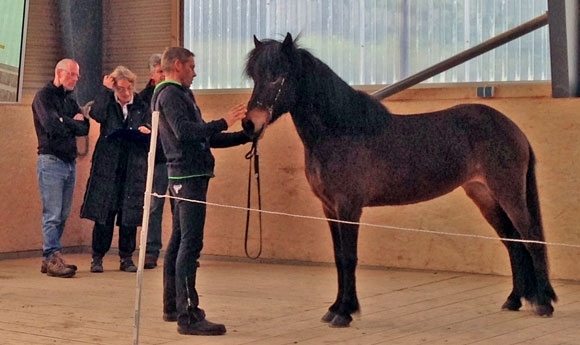 Osterby: Feykir mit Ext. 8,72 vorn, Embrio beste ‘Deutsche’