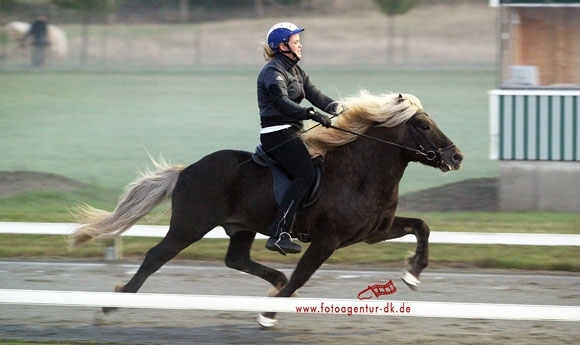 DK-Fotoalbum aus Zachow: Nächstes Jahr 10. Jubiläum