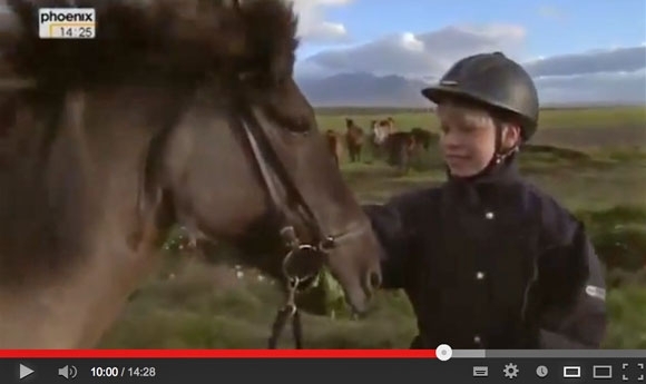 Im Bann der Pferde – spannende Doku aus Island (Video)